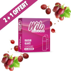 Recharges WILO - Raisin Glacé