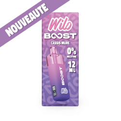WILO BOOST STARTER KIT -...