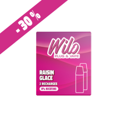 Recharges WILO - Raisin Glacé