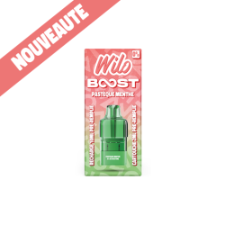 WILO BOOST Recharges...