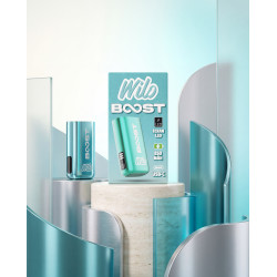 WILO BOOST Batterie BLEUE