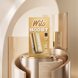 WILO BOOST Batterie OR